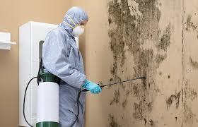 Best Mold Prevention Services  in Buckeye Lake, OH